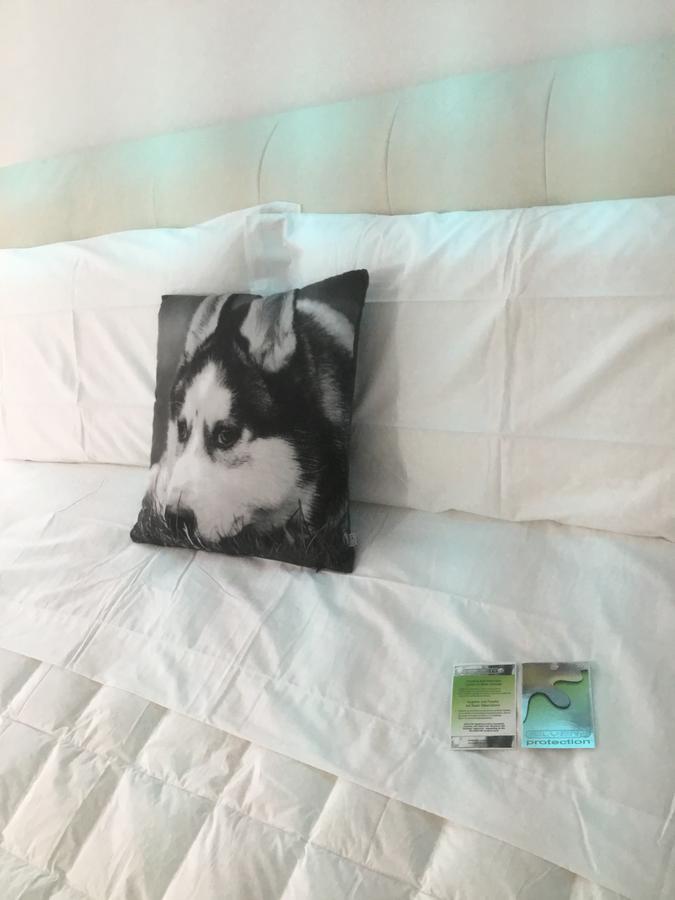 White Dream Suites ヤシ エクステリア 写真